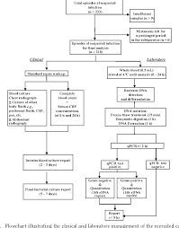 Rapid Identification And Differentiation Of Gram Negative