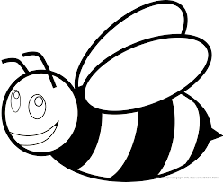 Ausmalbilder Käfer Schmetterlinge Insekten