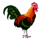 https encrypted tbn0 gstatic com images q tbn 3aand9gctqmfqwvpy8ge m8x19xqg9yznjnk2ocjxmma usqp cau 2