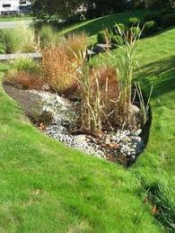 Rain Garden Rain Garden Design Rain Garden Front Yard Landscaping