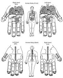 Ayurvedic Accupresure Figures Acupressure Research