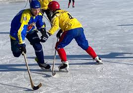 Fib has made decisions regarding several tournaments in the coming season. Hokkej S Myachom Xxiii Kompleksnaya Spartakiada Gorodov Amurskoj Oblasti 2020 2021 Gg