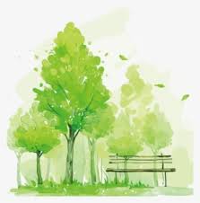 Elements are painted by hand and every image is a separate file. Watercolor Tree Png Transparent Watercolor Tree Png Image Free Download Pngkey