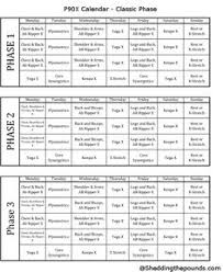 Click here now to download them and to learn how to use them! 14 Px90 Ideas P90x Workout Px90 Workout Schedule