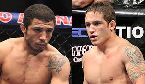 Aldo ganó la pelea por decisión unánime. Why Chad Mendes Is Fighting At Ufc 133 And Why Jose Aldo Isn T Mmaweekly Com