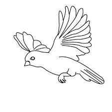 Those are some big birds. Amazing Bird Flying Floating Coloring Page Color Luna Bird Coloring Pages Coloring Pages Birds Flying