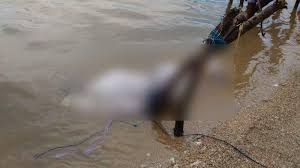 Jepara yang terkenal dengan julukan kota ukir ini mempunyai banyak tempat wisata terutama pantai. Tag Pantai Teluk Awur Jepara Nelayan Jepara Lihat Karung Berbau Busuk Di Tengah Laut Ternyata Berisi Mayat Wanita Tribun Jateng