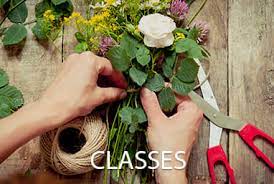 Check spelling or type a new query. Charlotte Florist Flower Delivery By Bookout Blooms