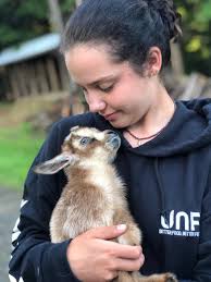 Goat mom shares story of raising solo baby goat