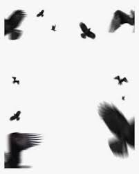 Flying Eagle Png Download Picsart Background Devil Png Png Image Transparent Png Free Download On Seekpng Find & download free graphic resources for devil horns. flying eagle png download picsart