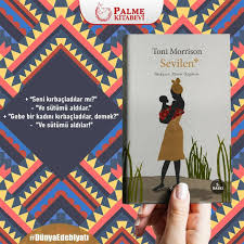 Kitap Panosundaki Pin