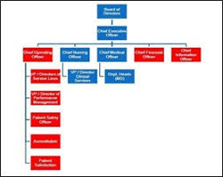 organization chart definition human resources hr