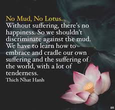 A common misconception is referring to the lotus as a water lily, an entirely different plant, as can be seen in the center of the flowers, which lack the structure. 82 Lotus Ideas In 2021 Thich Nhat Hanh Quotes Lotus Thich Nhat Hanh