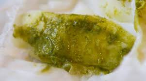 Grünlicher stuhl ist ein anzeichen für blähungen. Gruner Schaumiger Stuhl Stillforum