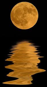 Check spelling or type a new query. Harvest Moon Beautiful Moon Shoot The Moon Moon Pictures
