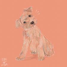 Gambar Anjing Lucu Jpg The Space Wanderer