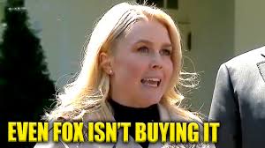 Liz Cheney/Adam Kinzinger Against Trump