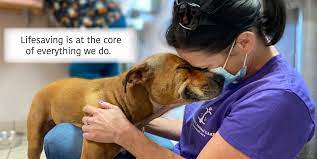 8459 colerain avenue cincinnati, ohio 45239. Cincinnati Animal Care Home Facebook