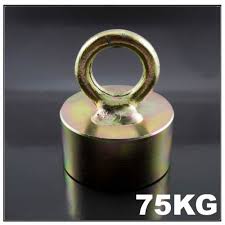 Do magnets ever lose their magnetism, and if so how long does it take? Neodymium Metal Detector Eyeblot Magnet 75kg Magnets By Hsmag