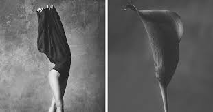 Get marina ballerina's contact information, age, background check, white pages, liens, civil records, marriage history, divorce records & email. Amazing Photo Series Comparing Ballet Dancers And Flowers Bored Panda