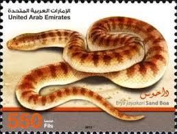 Check out our arabian sand boa selection for the very best in unique or custom, handmade pieces from well you're in luck, because here they come. Briefmarke Arabian Sand Boa Eryx Jayakari Vereinigte Arabische Emirate Snakes Mi Ae 1095 Sg Ae 1127 Wad Ae024 12