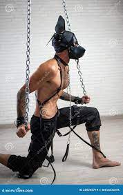 A Man in a Leather Bdsm Mask of a Dog Handcuffed To Chains is Kneeling  Against the Wall Stock Image - Image of blows, kink: 225245719
