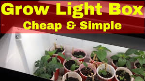 For starters i will explain to you what a dutch bucket hydroponic system is. Mhpgardener Best Garden Channel Review Youtube
