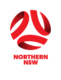 Football logo, wales national rugby union team, six nations championship, rugby world cup, principality stadium, welsh rugby union, england national rugby gareth bale wales national football team football player uefa euro 2016, bale, tshirt, sport, jersey png. Northern Nsw Football