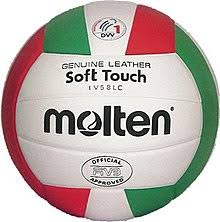 You must be 51% virtual to qualify. Volleyball Sportgerat Wikipedia
