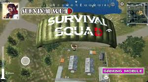 Survival squad es un 'battle royale' al más puro estilo playersunknown battlegrounds, en el que un montón de jugadores podrán enfrentarse survival squad es un excelente 'battle royale' que parte de una premisa consolidada y ofrece una experiencia de juego muy divertida. Android Ios Survival Squad Battle Royale Youtube