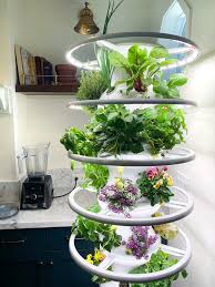 We did not find results for: Lettuce Grow Posts Facebook
