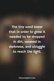 50 Never Give Up Quotes About Life And Happiness Precocious Spartan The Tiny Seed Knew T Giving Up Quotes Never Give Up Quotes Motivational Quotes For Success