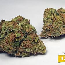 Check spelling or type a new query. Top 10 Best Kush Strains Cannaconnection Com