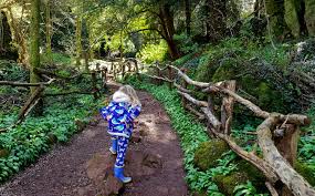 Check spelling or type a new query. 5 Things To Do In The Forest Of Dean With Kids Mummytravels