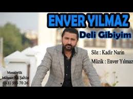 Enver Yilmaz Deli Gibiyim Official Audio Youtube 2020 Muzik