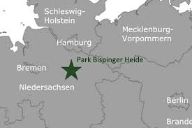 Grafische darstellung der lage von langenfeld, eifel in deutschland in landkarte. Die Center Parcs Deutschland Karte Alle Sechs Center Parcs Auf Einen Blick Ferienpark Deutschland