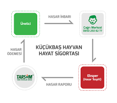Tarsim