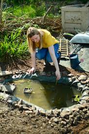 HOW TO MAKE A WILDLIFE POND - The Pink Shed