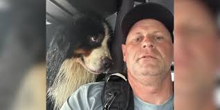 ‘This dog’s eyes say it all’: More than 100 pets rescued from Milton  flooding