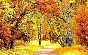 Herfst Wallpapers Herfstfoto S Landschap Herfst Landschap Herfst Bomen