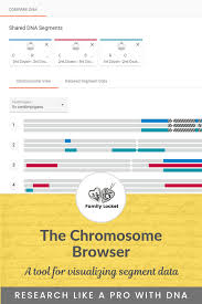 The Chromosome Browser A Tool For Visualizing Segment Data Segmentation Dna Genealogy Family Tree Dna