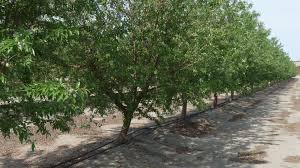 Bill Brush with B&B Consulting