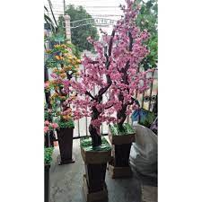 Pohon sakura merupakan tanaman yang family rosaceae, yaitu genus prunus yang sejenis dengan phom prem, apricot dan juga jika anda berkeinginan untuk bisa dan tahu cara menanam bunga sakura di halaman rumah anda atau mungkin saja kebun anda. Bunga Sakura Artificial Flower Untuk Hiasan Dekorasi Sudut Rumah Backdrop Shopee Indonesia