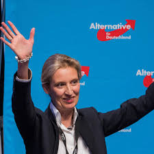 Find the perfect alice weidel stock photos and editorial news pictures from getty images. Alice Weidel Im Portrat Stern De