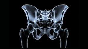 Image result for Cremasteric Reflex