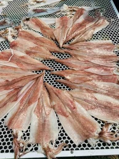 Mực một nắng Phú Yên – Đặc sản biển ngọt mềm, thơm vị nắng xứ Nẫu