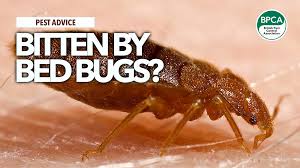 A bed bug has 6 legs. Pest Advice For Controlling Bed Bugs