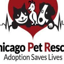 This enables us to deliver an exceptional experience time after time to both you and your dog. Chicago Pet Rescue Cprrescue Twitter