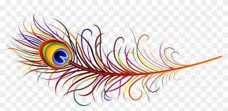 Peacock Feather Png Transparent Images Peacock Feather Transparent Background Free Transparent Png Clipart Images Download