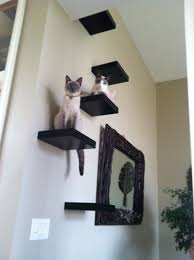 Ikea Us Furniture And Home Furnishings Lack Shelf Cat Climbing Wall Ikea Lack Shelves